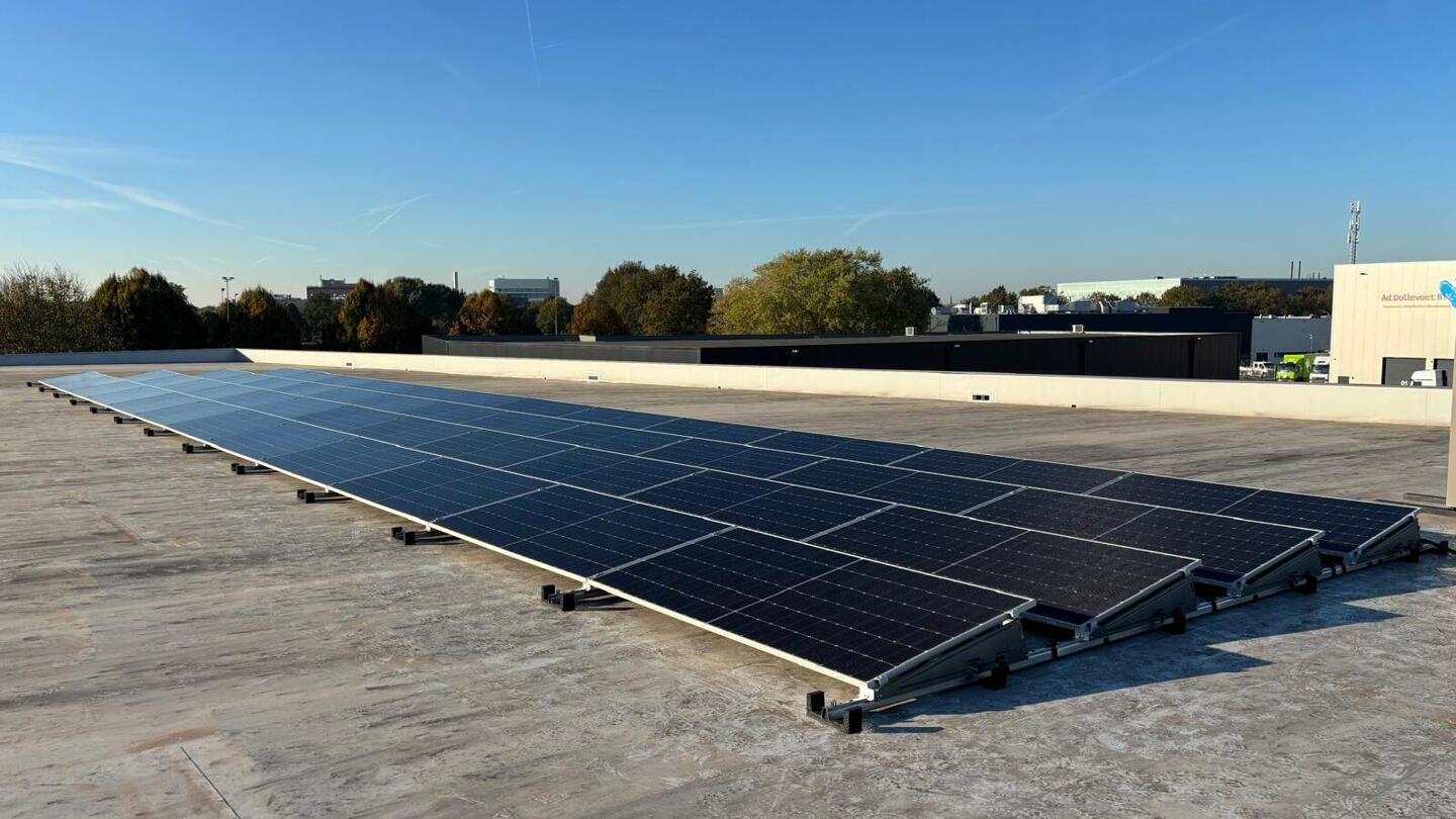 WhatsApp Image 2025-02-03 at 11.44.47.jpeg