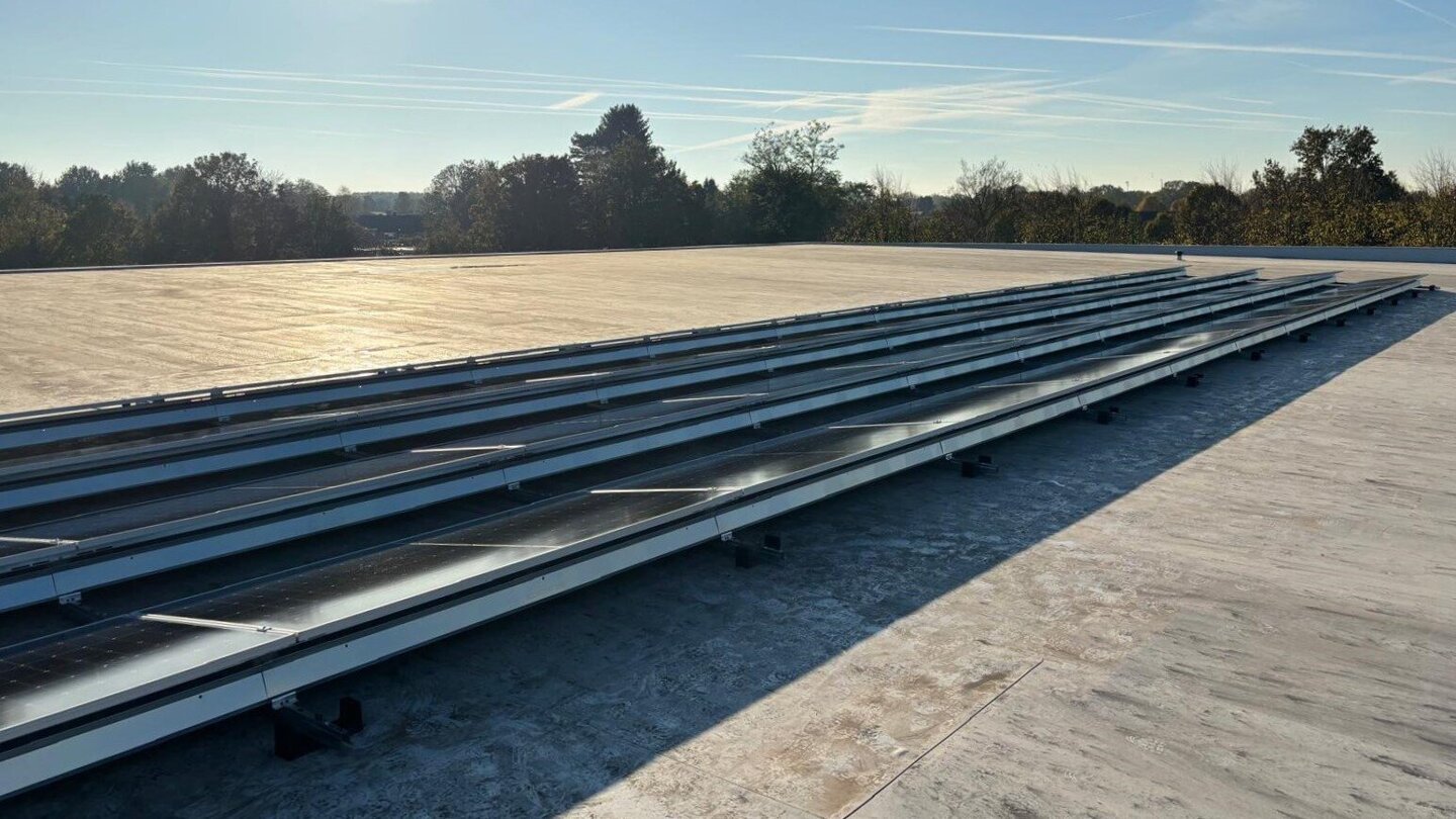 WhatsApp Image 2025-02-03 at 11.44.47 (1).jpeg